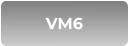 VM6