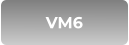 VM6